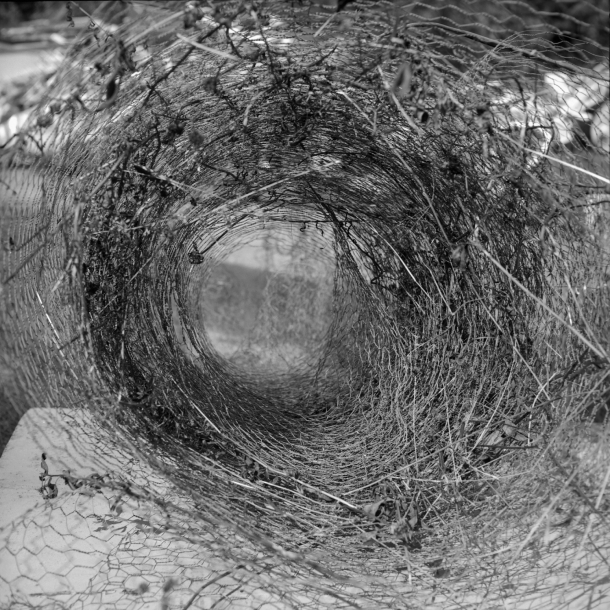 Recent Work | Wormhole, 2020